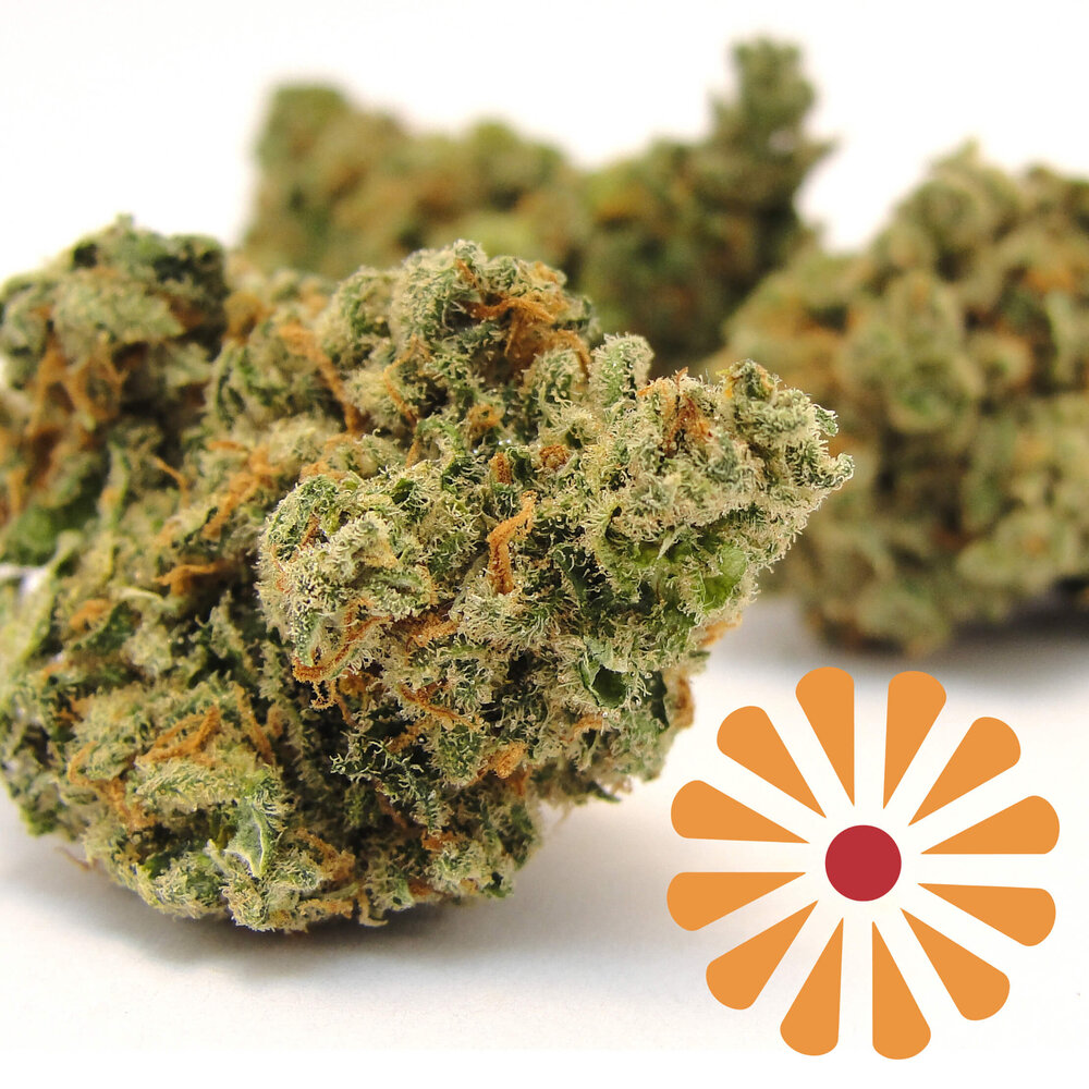 korova-jack-herer.jpg